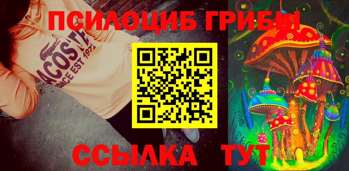 Кизилюрт  Псилоцибиновые грибы мицелий  Вход с VPN 